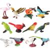 Realistic Bird Static Model Solid Figure Toy Animal Figurine Statue Fowl Figure Set Kids Collectible Toy Cake Toppers
