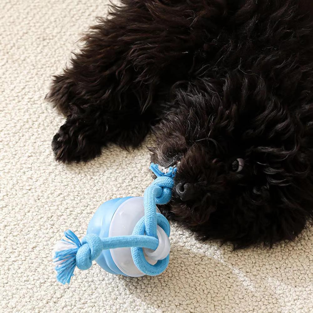 Automatic Bouncing Electric Dog Toy Ball LED Lighting Dog Interactive Ball  Pet Toy