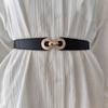 Elegant Women's Pu Elastic Waist Belt For Dresses Chic Fashion Accessory In Versatile Colors