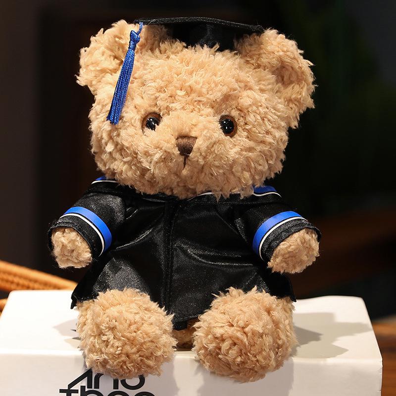 Doctor Graduation Teddy Bear Plush Toy with Hat, Customizable Logo