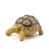 Realistic Turtle Action Figures Simulation Tortoise Animals Figurines Sea Turtle Model  Collection