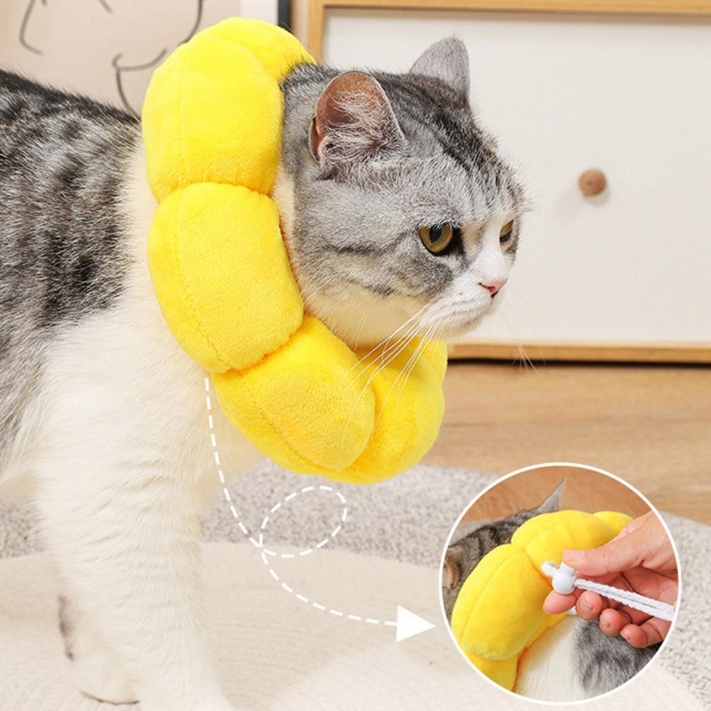 Елизаветинский ошейник с подсолнухом, ошейник для домашних животных, елизаветинский ошейник для кошек, ошейник для собаки, стерилизация, головные уборы против лизания