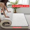 Tatami Mattress Latex Memory Foam Mattresses Bed Foldable AWshable Floor Sleeping Mat Single Double Bedroom Carpet Cushion Pad