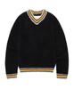 THEVINYLHOUSE Shaggy V Neck Sweater Black