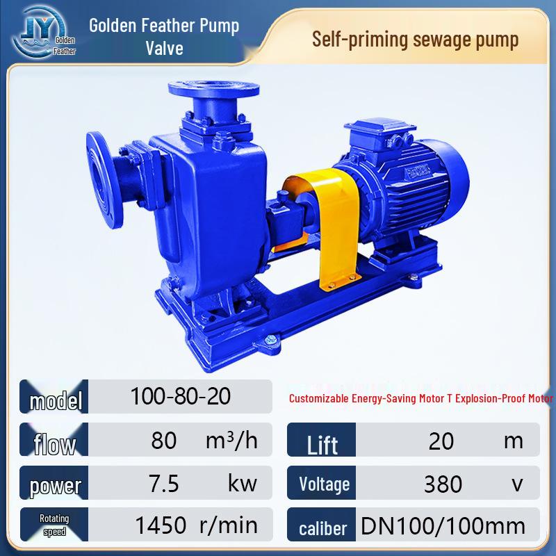 ZW Self-Priming Non-Clog Sewage Pump for Sewage Treatment & River Water Intake, 380V Horizontal Model