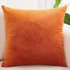 Velvet Pillowcase Pure Color Halloween Home Office Party Decor Bedroom Car Living Room