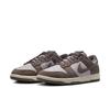 Nike Dunk Low Retro Se Mfq8249 001pltvlt Cvst