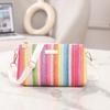 New Fashion Casual Daily Popular Rainbow Straw Woven Camera Bag Women's Bag Chain Bag Messenger Bag
