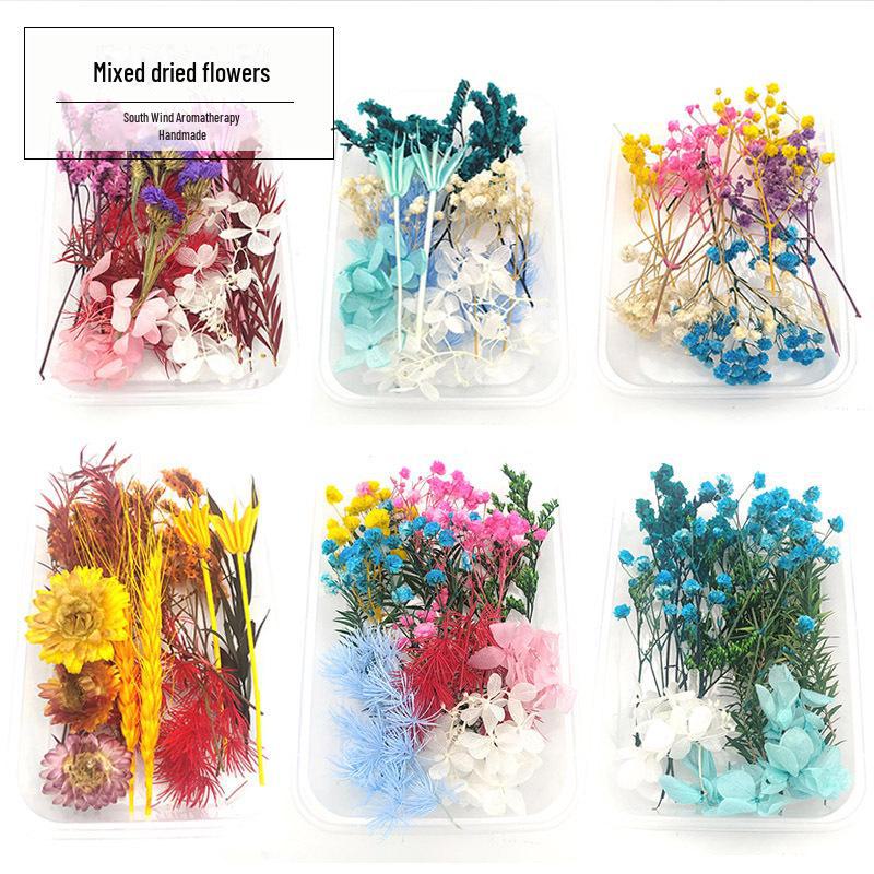 Assorted Dried Flower Craft Kit: Everlasting Flowers, Handmade Scented Candles, Photo Frames, Stickers, Air-Dried Hydrangea.