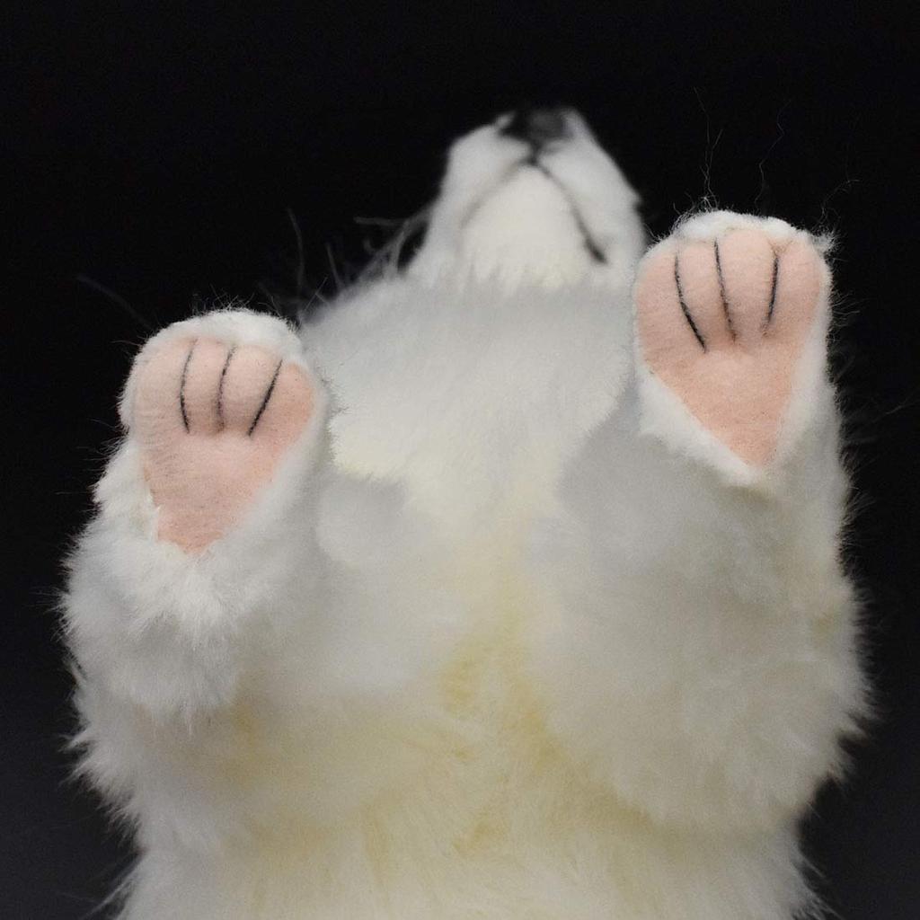 BH6823 HANSA Arctic Fox 30