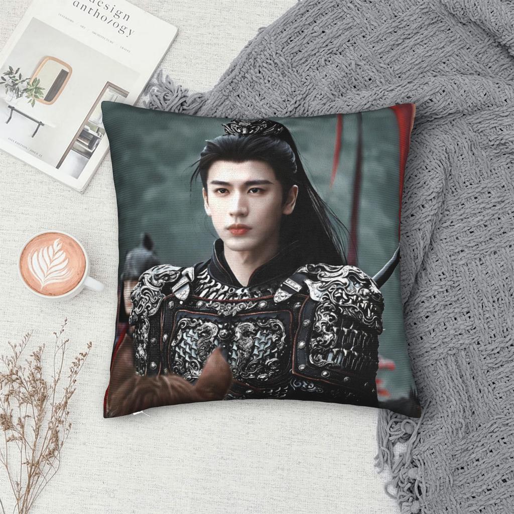 Zhang Linghe Pillowcases Kawaii Pillow Case For Living Room Sofa Custom Pillow Cover