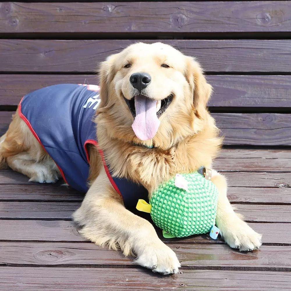 Bite-resistant Plush Dog Vocal Toy Ball Creative Pet Shake Sound Toy Grinding Teeth