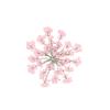 100шт прессованный сушеный цветок Ammi Majus из эпоксидной смолы для ногтей DIY Декор для телефона