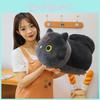 Adorable Cat Plush Toy Cartoon Bedtime Companion Kid Girls Birthday Gift Holiday