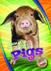 Книга Pigs