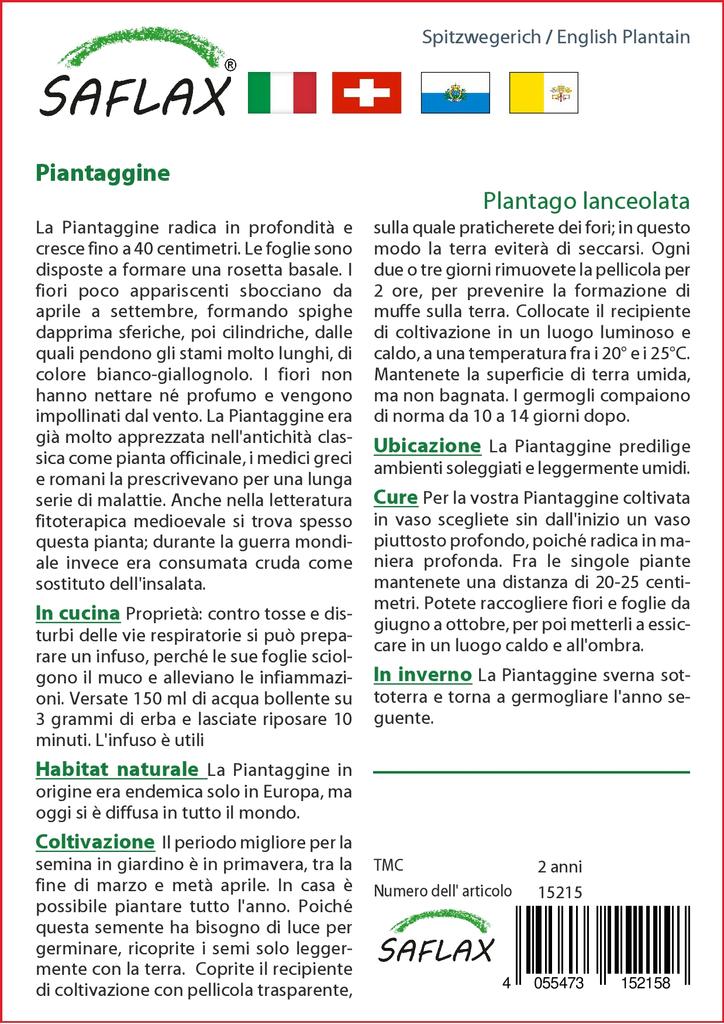 SAFLAX Garden in the Bag - Подорожник английский - 100 семян - С субстратом в подходящем пакете - Plantago lanceolata