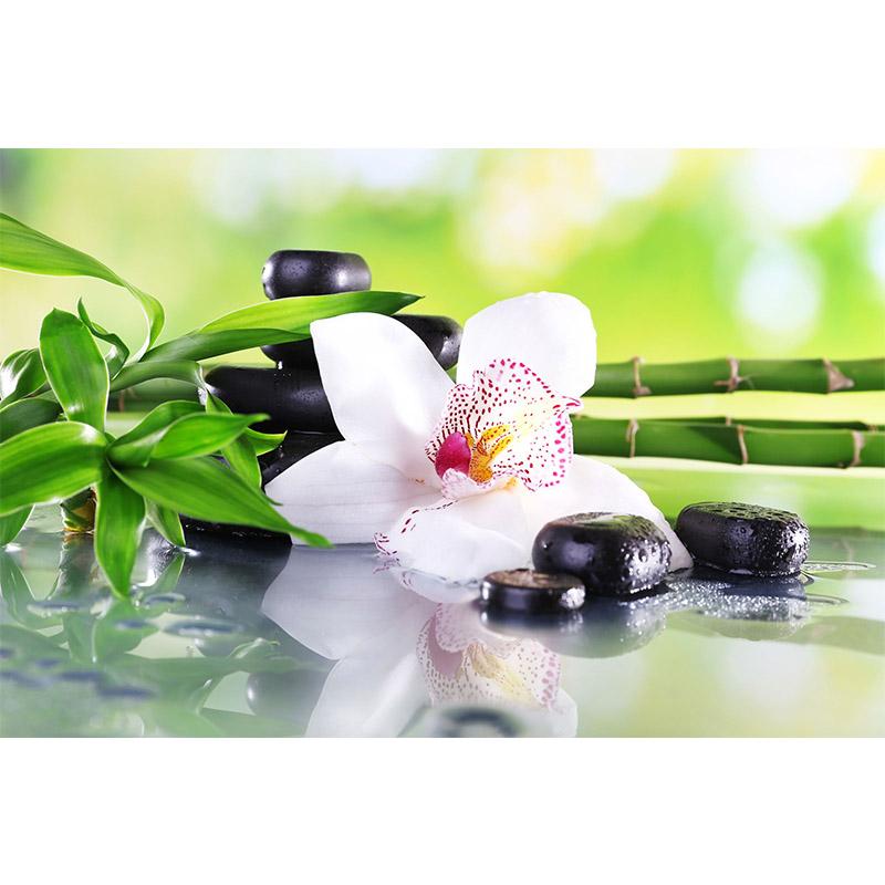 Цветок DIY 5D алмазная живопись полный круглый дрель Стразы Мозаика Орхидея Пейзаж Алмазная вышивка крестиком домашний декор