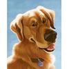 Квадратная/круглая Алмазная вышивка Собака 5D DIY Алмазная вышивка крестиком Животное Вода Алмазная мозаика Украшение