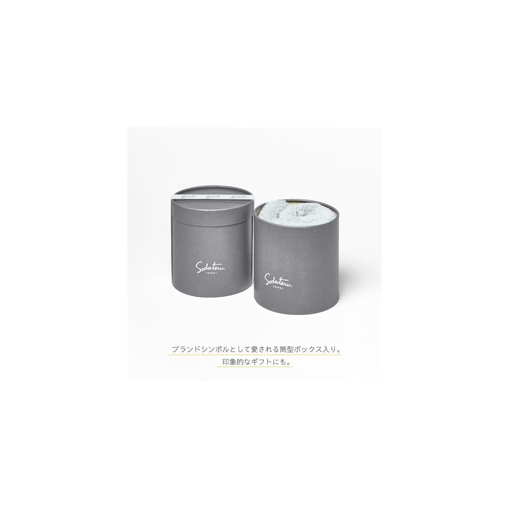 Growing Towel feel Face Towel Pair Set, Gift Box Included, Charcoal Gray x Moon Greige Brown, 34 x