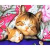 Домашний декор DIY 5D Алмазная вышивка Спящий кот Набор для вышивки крестом Хобби Ремесло