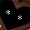 E173 -S925 Sterling Silver Snowflake Series Earrings for Women Fashionable Light Luxury Design Christmas Jewelry Gift
