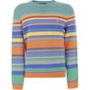 Polo Полосатый свитер с круглым вырезом и длинными рукавами Детский свитер Многоцветный 323962913-001