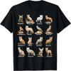 Foxes Of The World  Fox Animals Educational Design T-Shirt