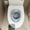 3D Cat Dog Toilet Stickers Self-adhesive Toilet Seat Decals Cute Wall Sticker  Home Decoration