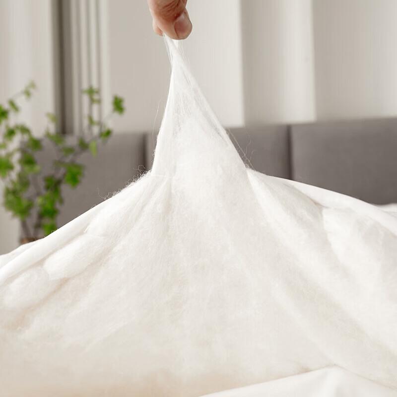 Faunen Mulberry Silk Comforter