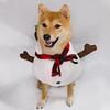 Warm Cute Santa Claus Dog Outfit Soft Breathable Cats Christmas Clothes Funny Pet Dress Up Dog Winter Clothes Spring