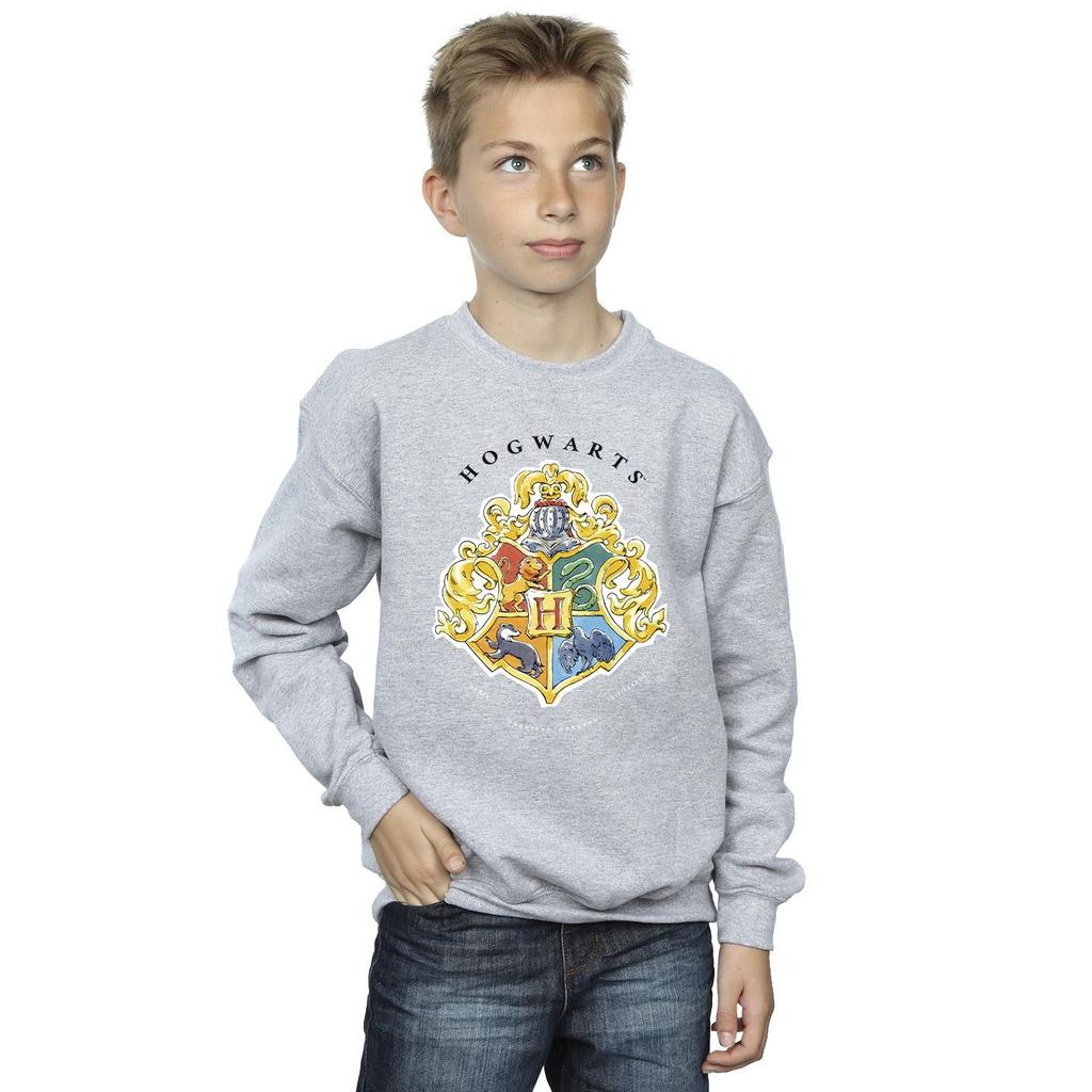 HARRY POTTER Boys Hogwarts School Emblem Sweatshirt