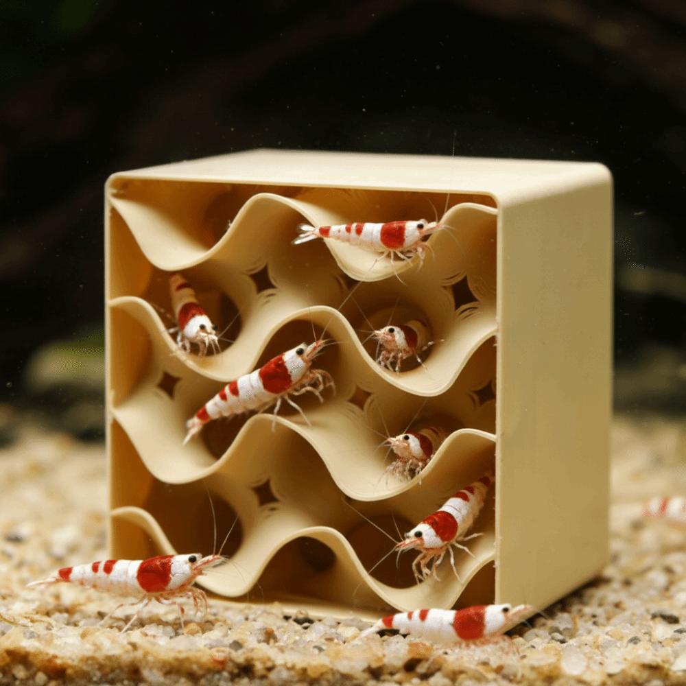 3D Printed Shrimp Hiding Place Hollowed-out Shrimp Breeding Cave Betta Habitat Shrimp Breeding