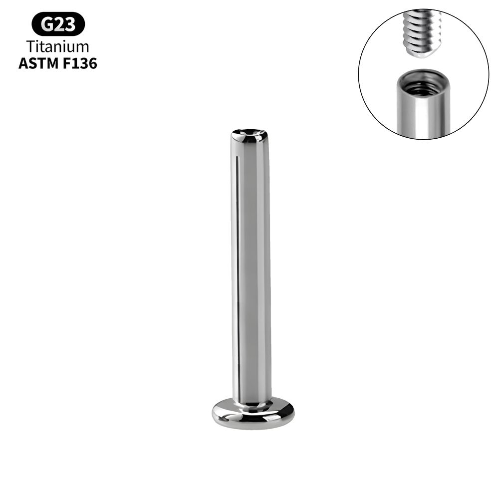 1/10PCS Titanium Labret Stud Internally Threaded Push Pin Tragus Helix Conch Septum Flat Back Plug-in  Ear Piercing Jewelry