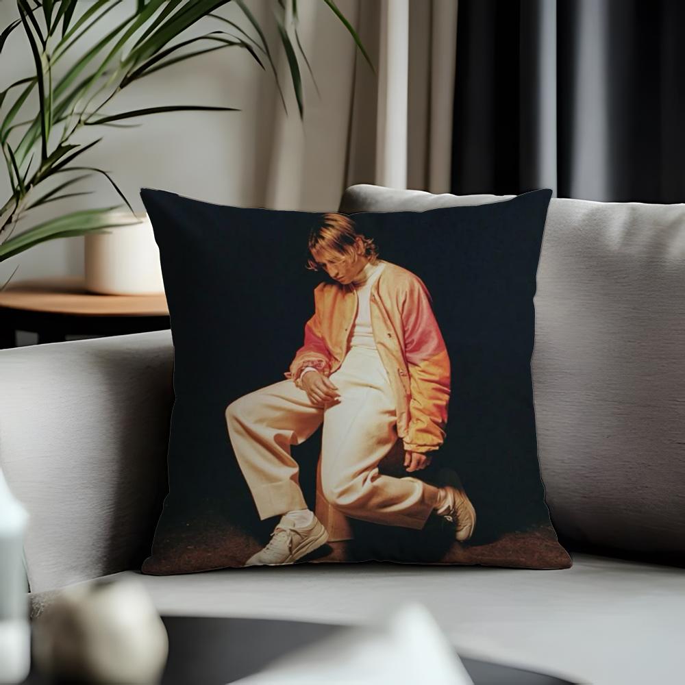 New Pporter Robinsoniou Cushion Cover Antidustmite Pillowcase Invisible Zipper Silky Short Plush Sofa Cushion Cover