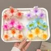 Gradient Egg Flower Hair Claws Clip Women Girls Sweet Acrylic Hairpins Summer Beach Hawaiian Headwear Hair Accessories