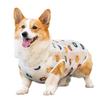 Одежда для собак Весна, лето и осень Тонкий дышащий сетчатый жилет для домашних животных для маленьких, средних и больших собак, бойцовская одежда для корги, сиба-ину