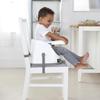 Ingenuity Baby Base Пионовый розовый (16726)