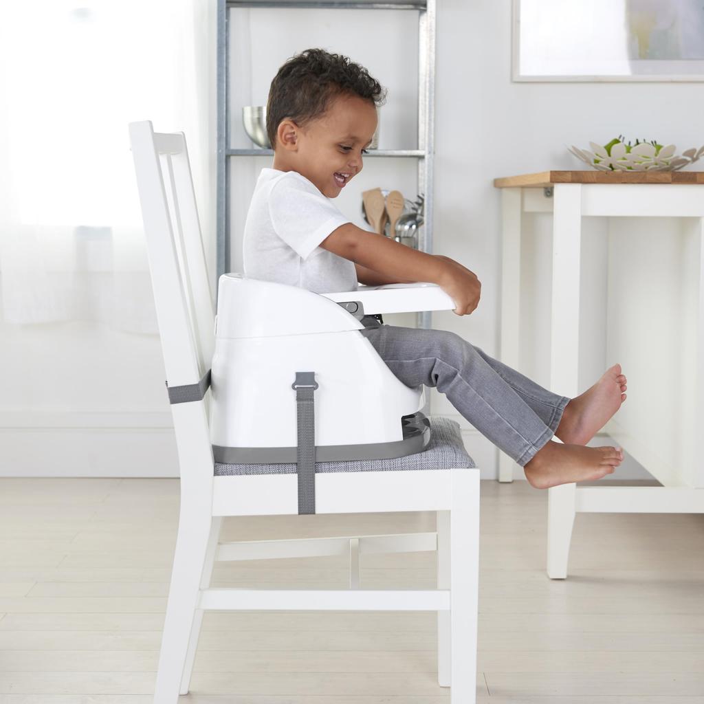 Ingenuity Baby Base Пионовый розовый (16726)