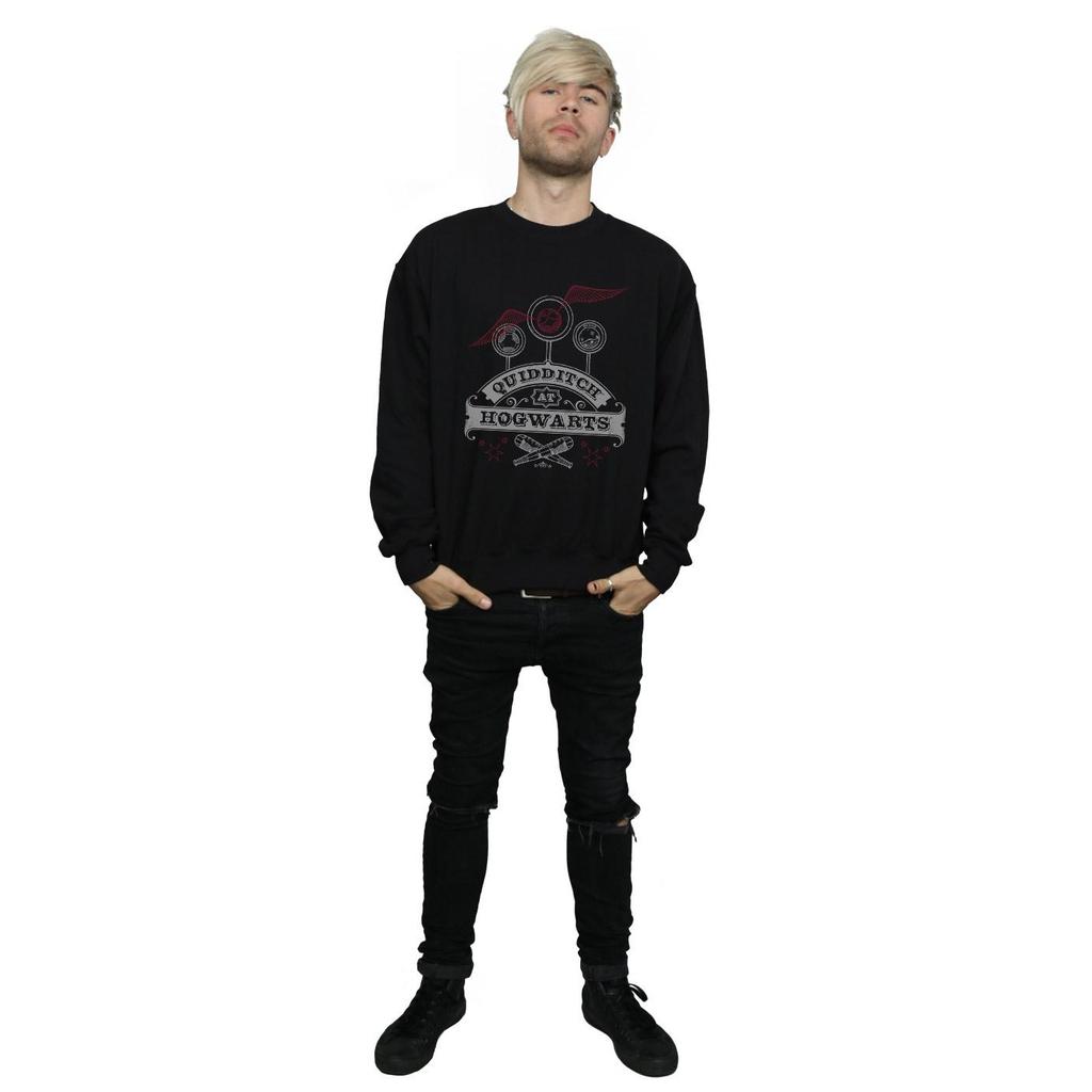 Harry Potter Mens Quidditch At Hogwarts Sweatshirt