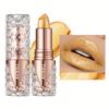Shimmering Lipstick Long-Lasting Waterproof Lipstick Smooth Texture Full Coverage Glitter Lipstick Available In Black Golden Red Pink Lip Makeup