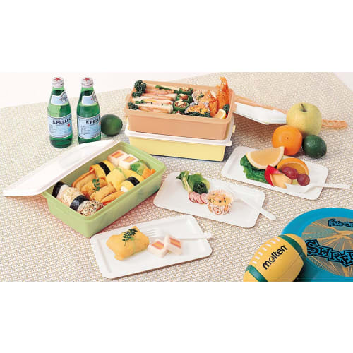 Sanko Plastic Bento Box/Picnic Case with 3 Side Plates, Earth Beige, 116789, Approx. 26.5cm W x 15.5cm D x 22cm H