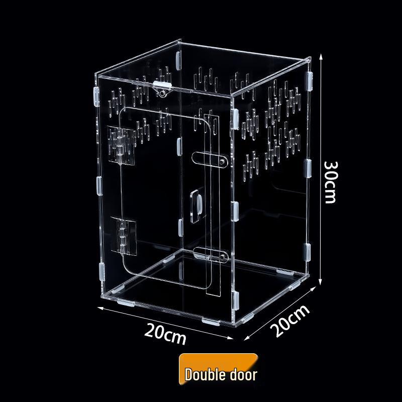 Small Acrylic Reptile Habitat: Transparent Observation Box for Spider, Lizard, Mantis, and Rainforest Landscape