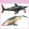 Ancient Realistic Marine Helicoprion Pvc Model For Children Learning Gift