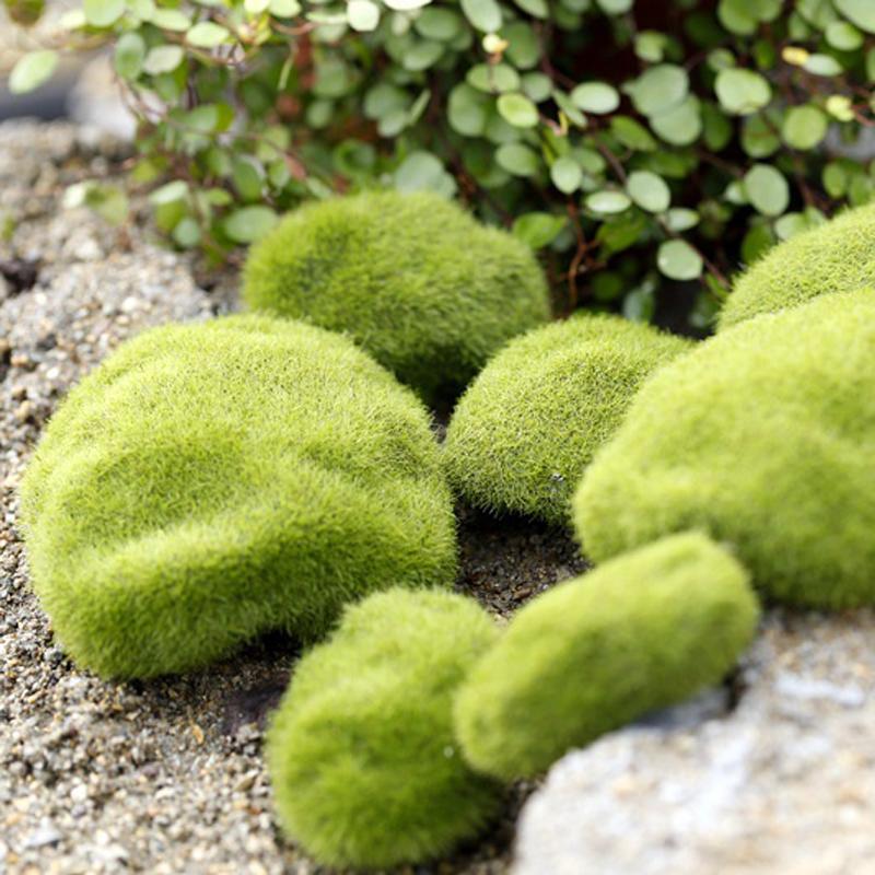 2/4/5/8/10 шт. микропейзаж мох зеленая трава фигурки миниатюрные украшения для мини DIY сказочный сад аквариум моделирование статуя ремесло