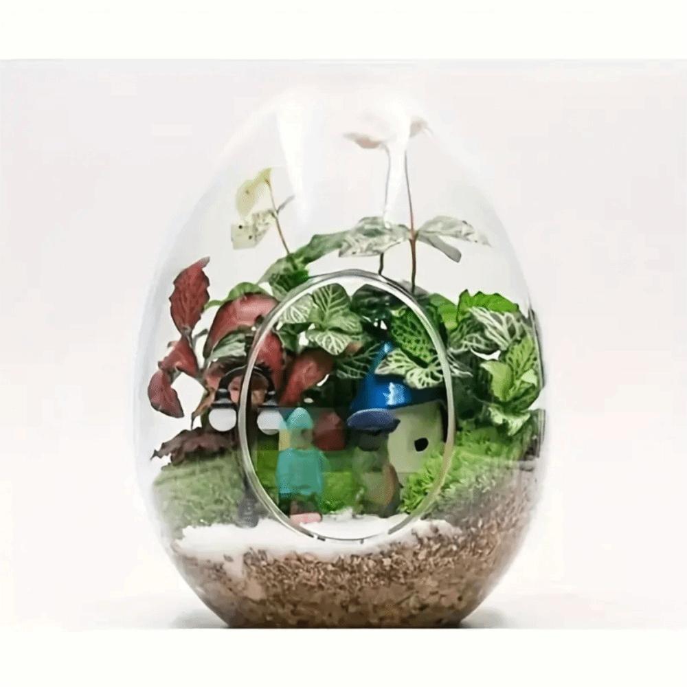 Exquisite Succulent Glass Vase Transparent Micro Landscape Moss Bottle Hydroponic