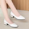 Soft Leather Rough Heel Single Shoes Women's Summer New Pointed Low Heel Women's Shoes White Work Shoes Women's Leather Shoes