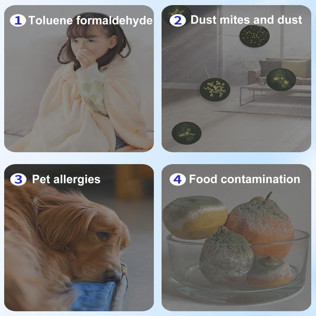 Indoor Purification Removal Box,Plant-Based Multi-Functional Freshener For Bedrooms, Closets & Pet Areas – Easy Placement & Long-Lasting Freshness