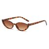 New Women'S Classic Cat Eye Sunglasses Fashion Brand Designer Eyeglasses  Spicy Girl Outdoor Street Photography Shades