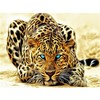 Алмазная мазайка, живопись леопард