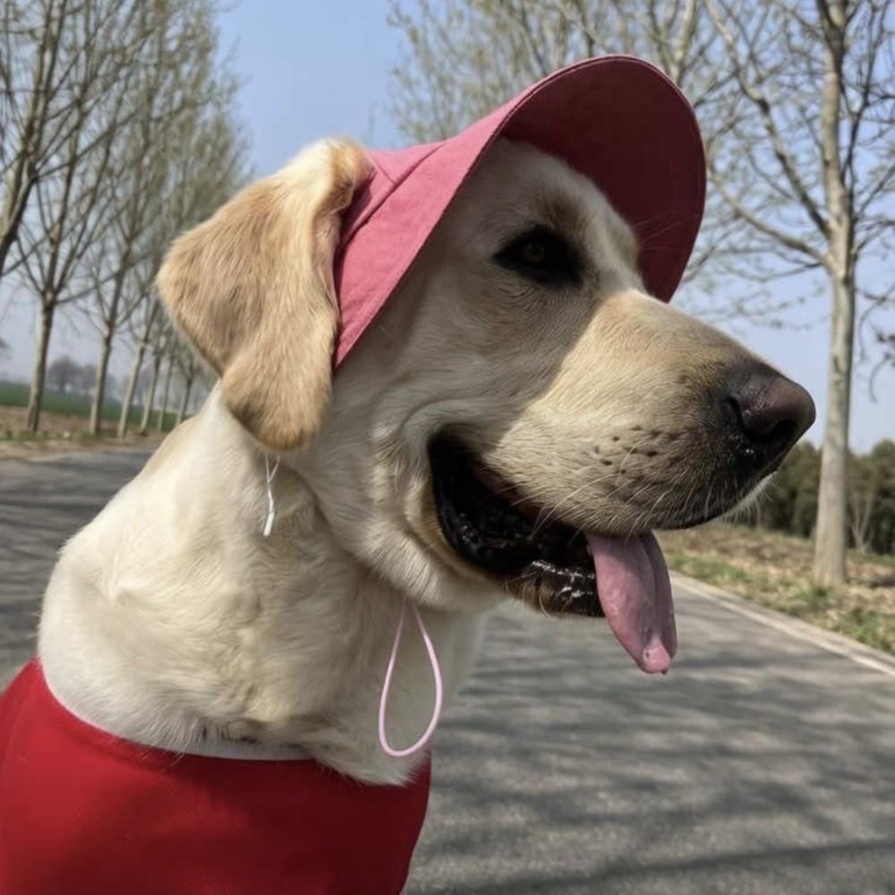 Sun Protection Pet Sunshade Hat Adjustable Pet Baseball Cap Dog Fisherman Hat Sun Protection